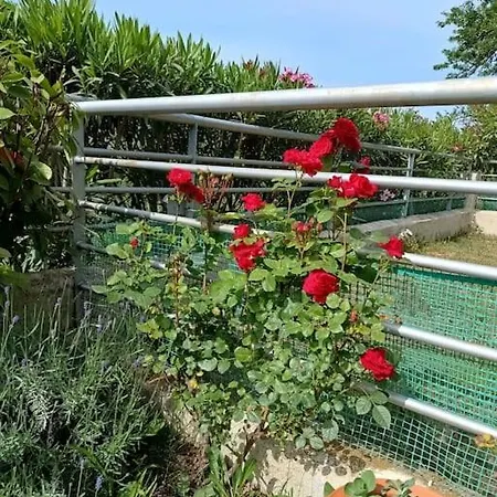 Apartmán Sea View Panorama *
