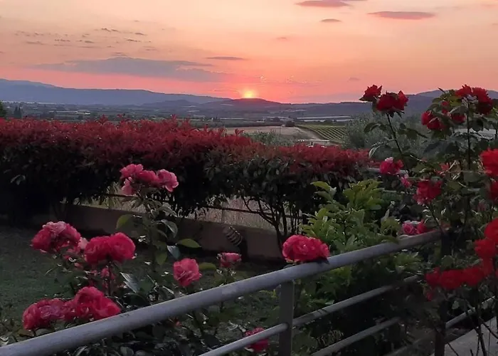 Апартаменты Hilltop Sea View *